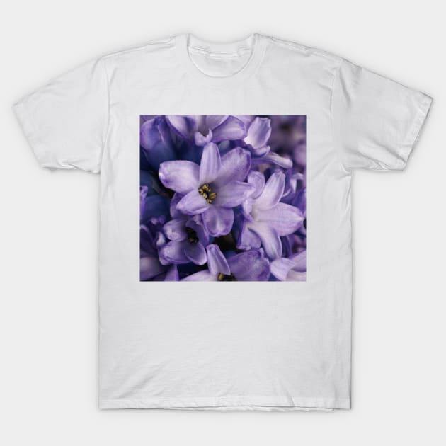 Purple Hyacinth |  Cute Blooming Flowers | Close Up Photography T-Shirt by Nonconformist